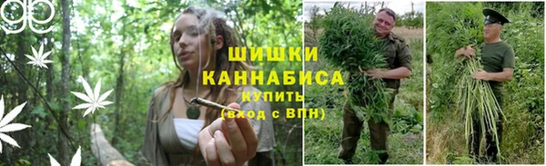 шишки Алексеевка