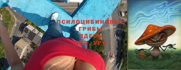 шишки Алексеевка