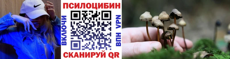 Галлюциногенные грибы Cubensis  Талица 
